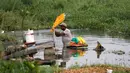 Anjing liar duduk di mana dhobi, atau tukang cuci mencuci kain di tepi Sungai Gomti di Lucknow, 12 September 2020. Pekerjaan yang telah ada selama beberapa generasi ini masih populer di India, dengan penghasilan setiap keluarga sekitar 100-200 dollar AS per bulan. (AP Photo/Rajesh Kumar Singh)