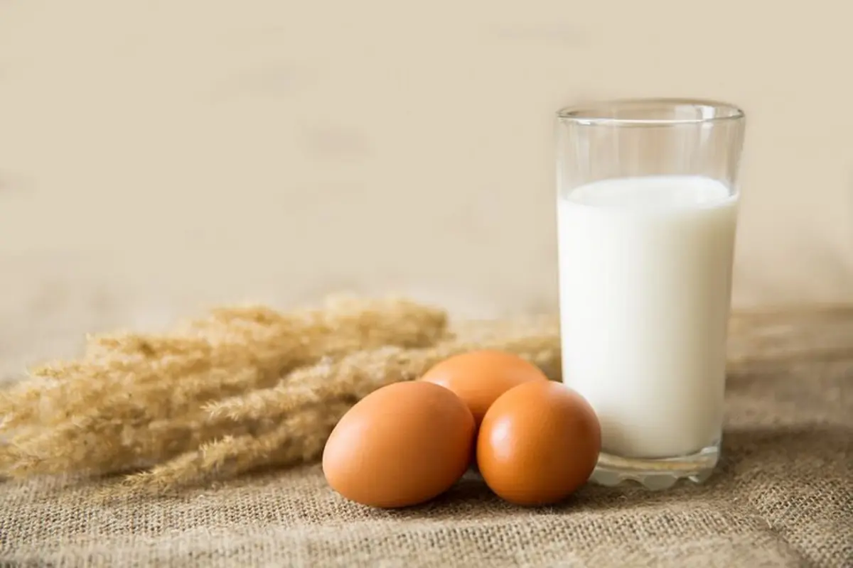 Makan lebih banyak protein