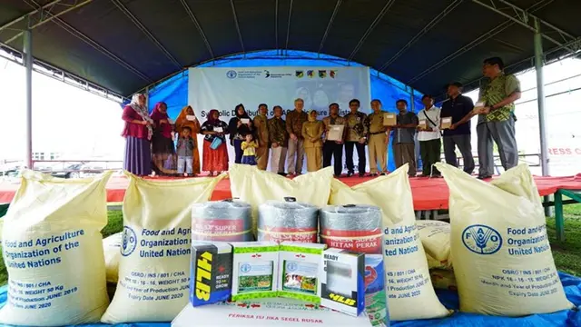 Gempa Palu
