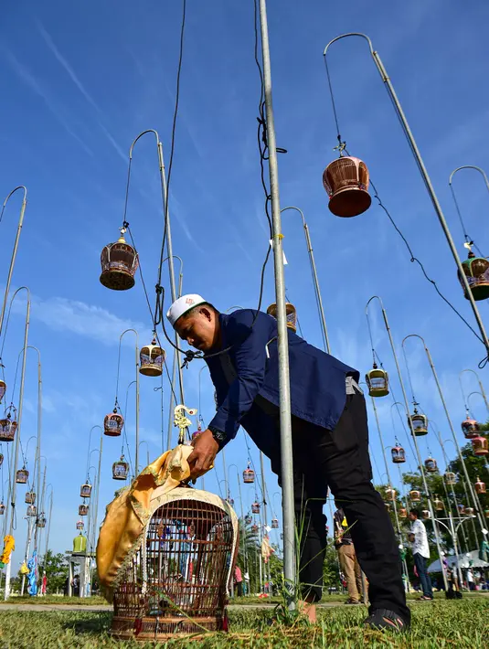 Seorang pria memasang sangkar burungnya selama kompetisi kicau burung di provinsi Narathiwat, Thailand, pada tanggal 18 September 2023. (Madaree TOHLALA/AFP)