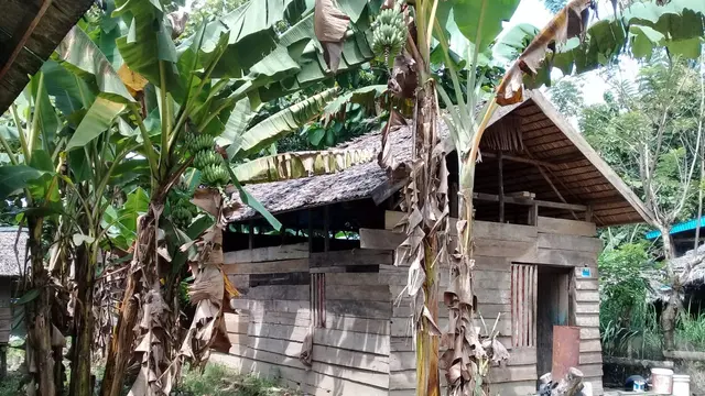 Kondisi rumah nenek Nuru dan Tahir di Kecamatan Motui Kabupaten Konawe Utara.