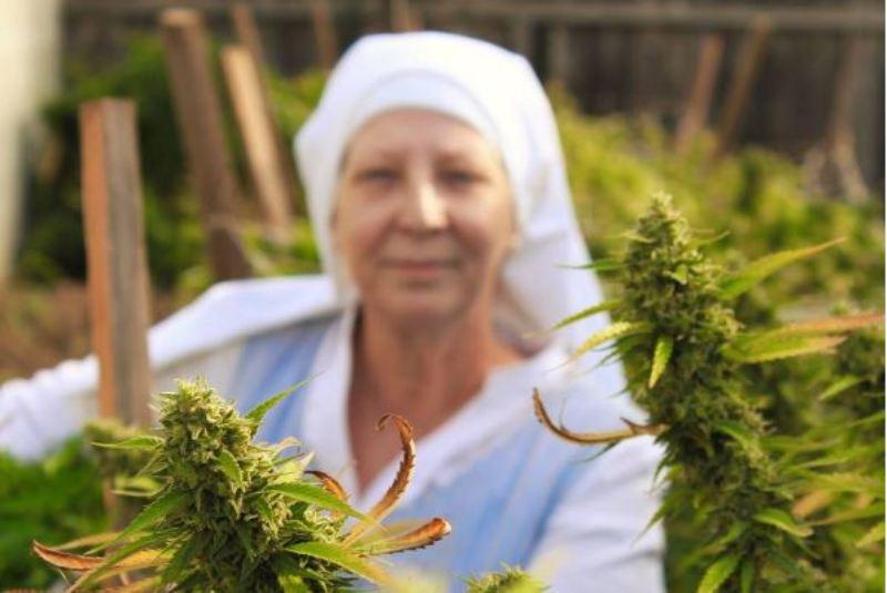 Ganja ditanam oleh Sisters of The Valley (Foto: Instagram/@sistersofthevalley)