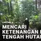Mencari Ketenangan di Tengah Hutan