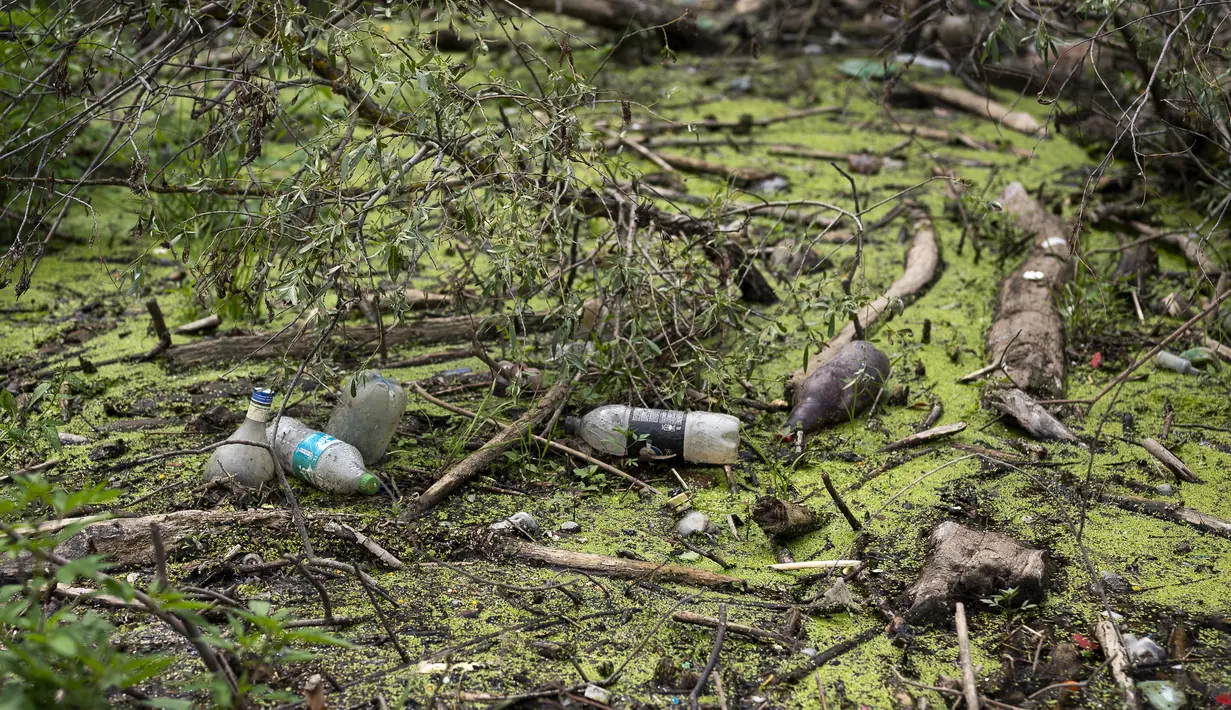 Tetapi juga untuk menghentikan krisis ekologi global yang sedang berkembang dengan mencegah sebanyak mungkin sampah agar tidak terbawa lebih jauh ke hilir ke laut dan samudra. (AP Photo/Denes Erdos)