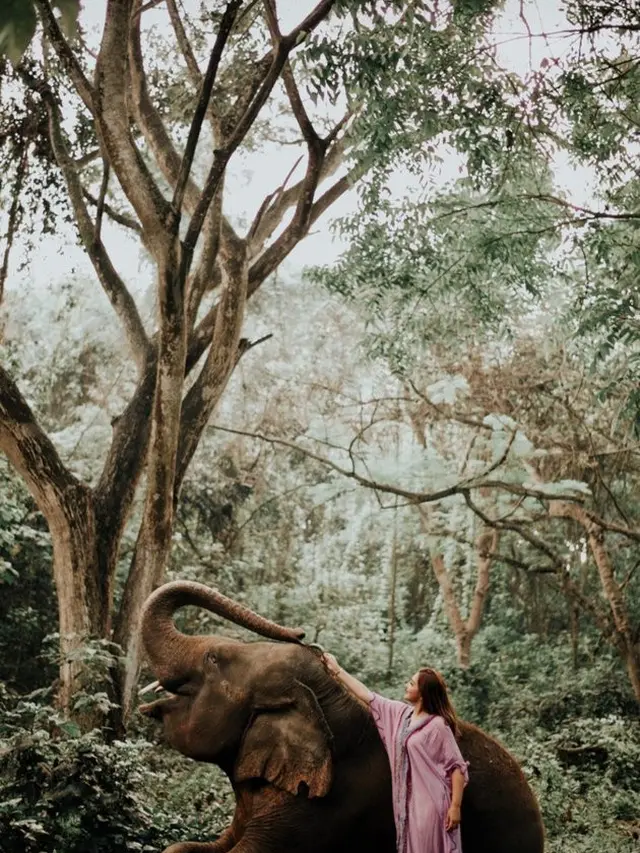 7 Pemotretan Ashanty Bersama Gajah di Bali Ini Curi Perhatian