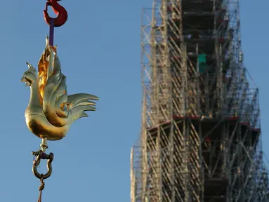 Replika ayam jantan emas diangkat dengan derek ke puncak menara katedral Notre Dame sebagai bagian dari pekerjaan restorasi di Paris, Sabtu (16/12/2023). (Thomas SAMSON / AFP)