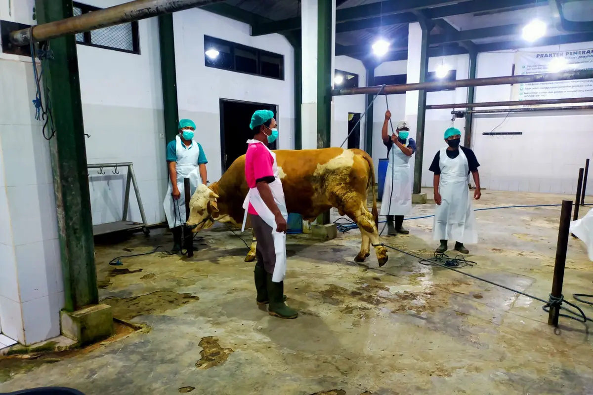 Salah satu RPH di Banyuwangi yang dinyatakan lolos audit sertifikasi halal (Istimewa)