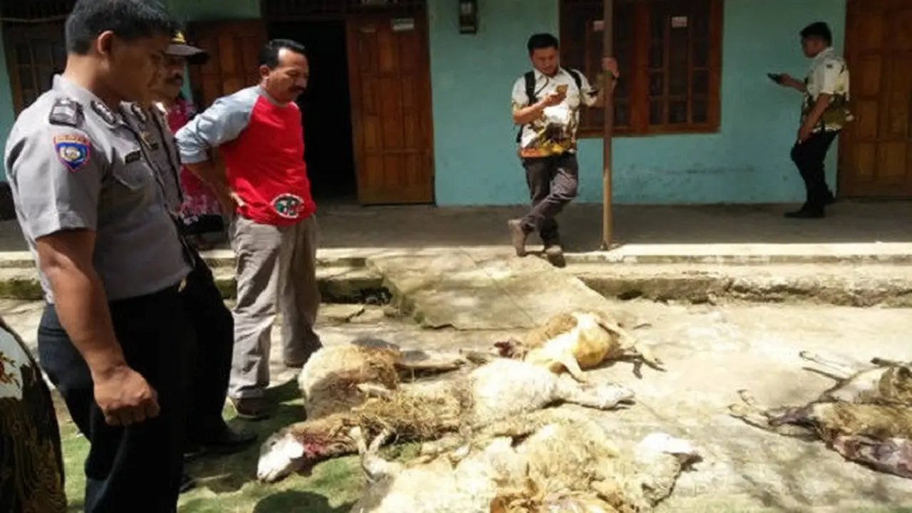 Kambing Mati