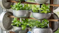 Cara Membuat Kebun Hidroponik dari Panci Bekas Tanpa Listrik untuk Pemula