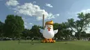 Sebuah balon raksasa berbentuk ayam berjambul emas diletakkan di Taman Ellipse, menghadap ke Gedung Putih, Washington DC, 9 Agustus 2017. Balon ayam raksasa tersebut cukup terlihat mirip dengan Presiden Donald Trump apalagi bagain rambutnya. (AP Photo)