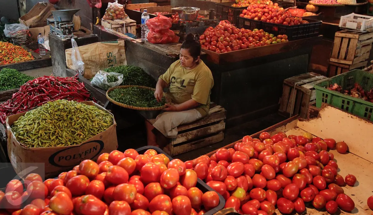 Pedagang memilih cabai untuk di jual di pasar, Jakarta, Senin (20/2). Kementan tidak akan mengambil langkah untuk mengimpor cabe dan bawang. Walau pun saat ini, harga cabe dan bawang mengalami keniakan. (Liputan6.com/Angga Yunair)
