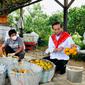 Presiden Joko Widodo atau Jokowi menilai hasil produksi jeruk di Kabupaten Karo Sumatera Utara perlu diberikan pendampingan.