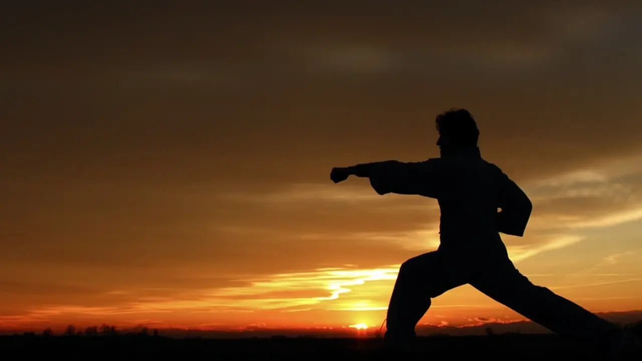 Ilustrasi kung fu