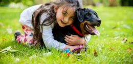 Ilustrasi anjing yang membantu mengurangi stres anak. (Foto: Unsplash/Vitaliy Zalishchyker)