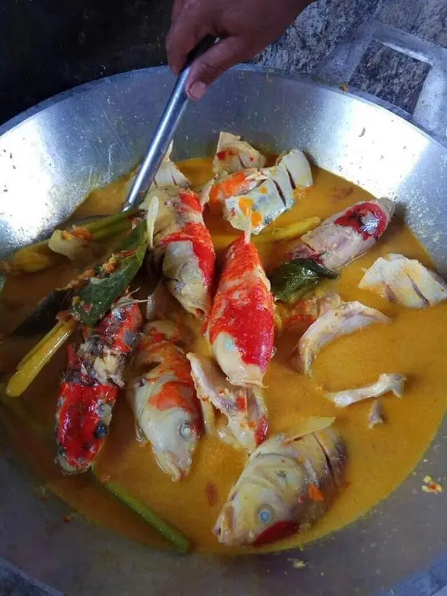 6 Menu Olahan Ikan Hias Ini Nyeleneh Banget, Berani Coba?