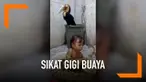 Beredar sebuah video dimana seorang gadis kecil berendam bersama buaya di bak yang sama. Tidak hanya itu, gadis tersebut menyikat gigi buaya tersebut.
