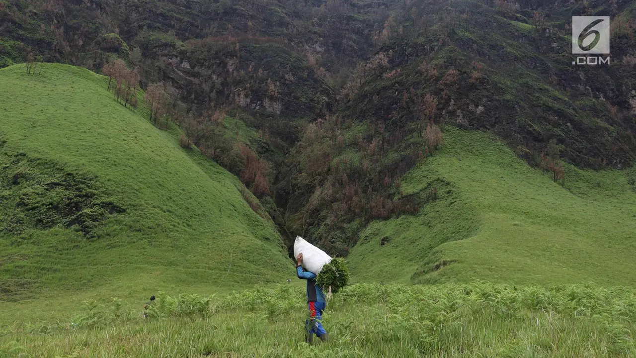 Taman Nasional Bromo Tengger Semeru