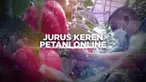 Hary Permana beralih menjadi petani sayur karena pandemi COVID-19. Untuk menyiasati penjualan, dia memanfaatkan media online untuk mempromosikan hasil panen petani-petani sayur.
