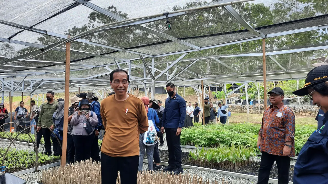 Presiden Jokowi saat meninjau Persemaian Mentawir di Ibu Kota Nusantara, Kabupaten Penajam Paser Utara, Kalimantan Timur, Kamis (23/2/2023).