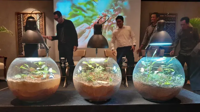 Display Terarium Tanah