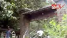 liputan6