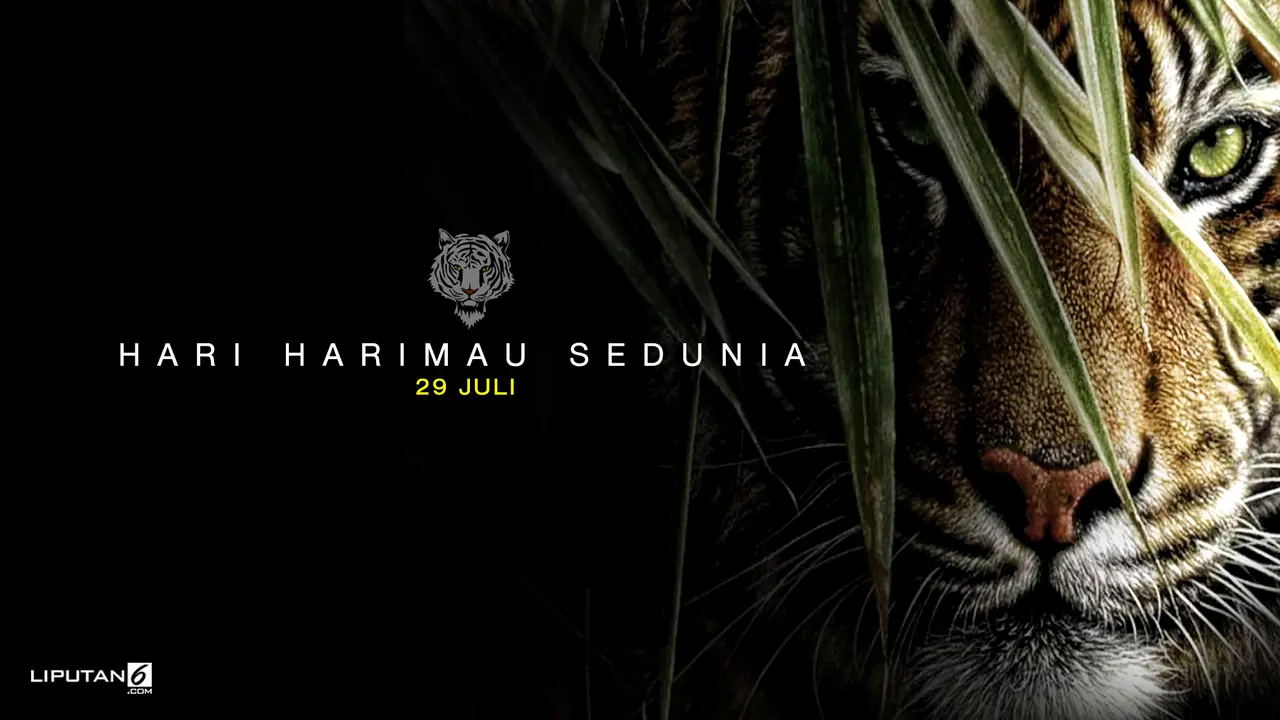 Banner Infografis Hari Harimau 