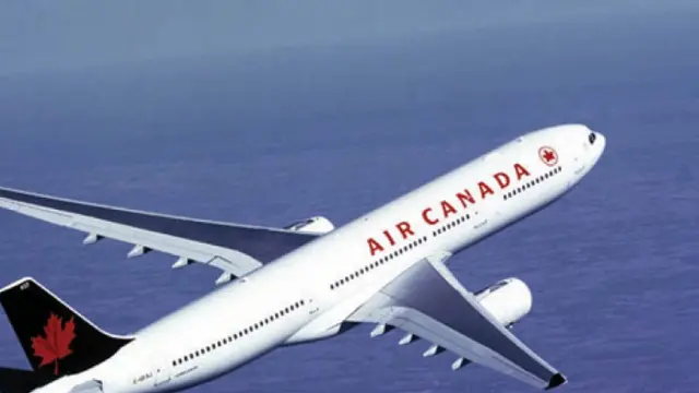 Aksi Heroik Pilot Canada Air Selamatkan Anjing Di Pesawat