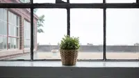 Ini Area Rumah yang Tak Perlu Sering Dibersihkan