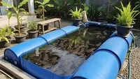 Cara Membuat Kolam Lele dari Drum Plastik Bekas, Praktis dan Hemat Lahan