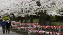 Orang-orang yang memakai masker berjalan-jalan di bawah bunga sakura yang mekar penuh di Kuil Zojoji, Tokyo, Jepang, Selasa (29/3/2022). (AP Photo/Koji Sasahara)