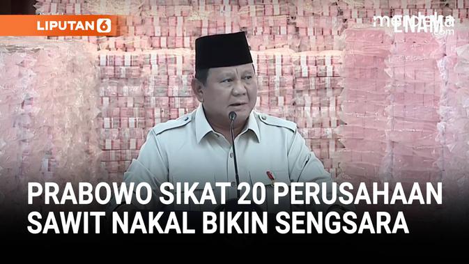 Keras Prabowo Sikat 20 Perusahaan Sawit Nakal Bikin 100 Ribu Rakya Sengsara