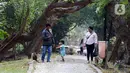 Pengunjung berjalan di Kawasan Ekowisata Mangrove PIK, Jakarta, Rabu (2/8/2023). Kawasan Ekowisata Mangrove PIK memiliki luas 95,50 hektare. (Liputan6.com/Herman Zakharia)