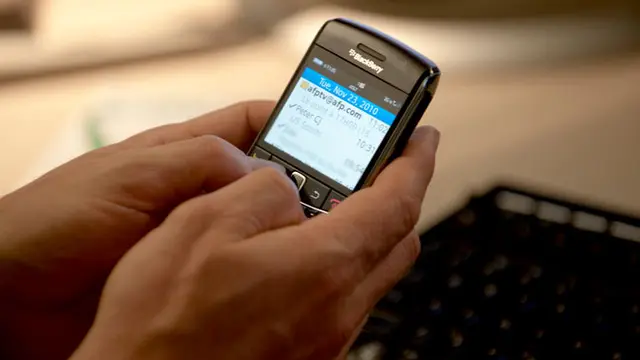 blackberry-130828c.jpg