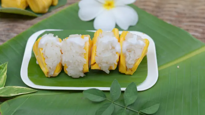 nangka thailand