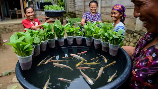 Ide Ternak Lele Ember untuk Ibu-Ibu PKK Modal Kecil (AI)