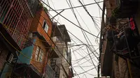 Karena Sebuah Pohon, Satu Kampung Hukum Pemilik Tak Dapat Listrik