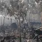 Proses pemadaman kebakaran lahan di Riau beberapa waktu lalu. (Liputan6.com/M Syukur)
