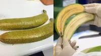 Demi Selamatkan Ribuan Nyawa, Peneliti Ciptakan Pisang Emas 