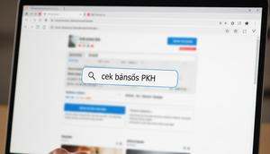 Cara Cek NIK KTP Penerima Bansos PKH (Gemini)