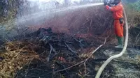 Tim gabungan memadamkan api di lahan gambut Kabupaten Agam. (Liputan6.com/ Dok BPBD Agam)