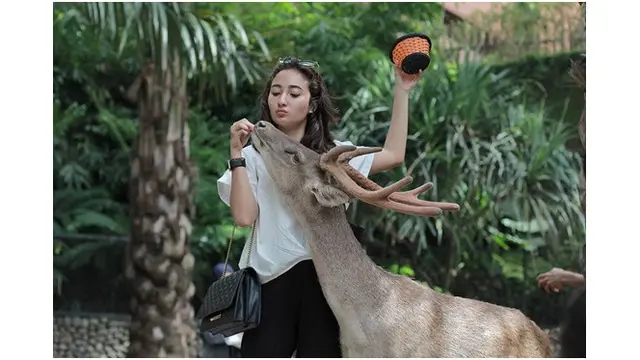 Potret Cantik Naomi Zaskia
