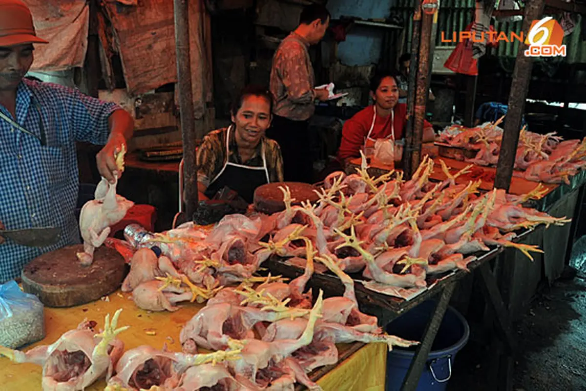 ayam-potong130710b.jpg