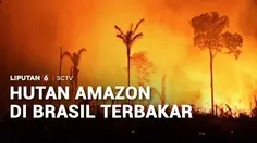 Hutan Amazon di Brasil Terbakar