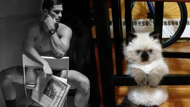 Kucing Bak Model Pria