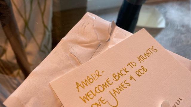 Amber Heard Resmi Gabung Aquaman 2