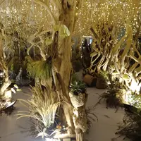 Bridestory Fair 2019