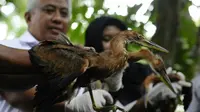 Ketika Burung-Burung Hasil Sitaan di Riau Stres