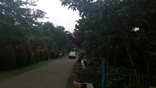 Melancong ke Sentra Alpukat di Lereng Gunung Arjuno