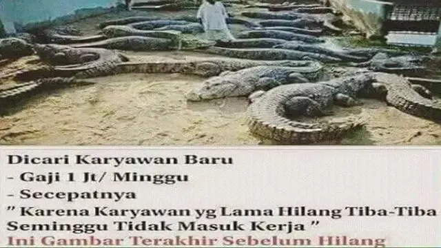 lowongan pekerjaan absurd