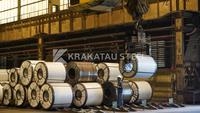 Krakatau Steel Bidik Pendapatan Konsolidasi Rp 26,9 Triliun
